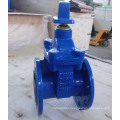 Resilient Seated Nrs Gate Valves